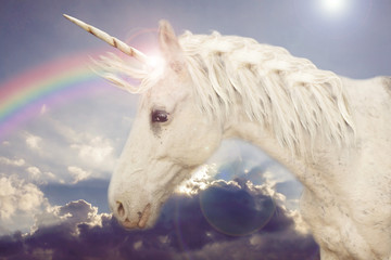 Plakat tęcza koń niebo 3d