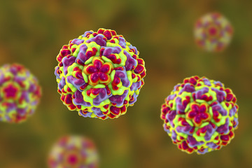 Canvas Print - Molecular model of rhinovirus, the virus that causes common cold and rhinitis