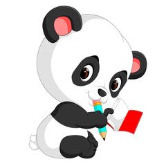 Poster - cute panda holding pencil and book