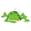 Green frog with happy smile