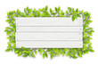 Empty white wooden sign with space for text on a background of tree branches with green leaves. The template for a banner or an advertisement for a seasonal discount.