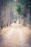 Fototapeta Las - Ehepaar läuft durch Wald