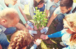 volunteering, charity, people and ecology concept - group of happy volunteers planting tree in park