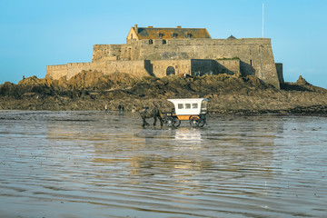 Poster - Horse cart passing by the Fort National on sea bottom at low tide . Saint Malo, Brittany, France