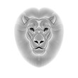 Engraving of stylized lion on white background. Linear drawing.