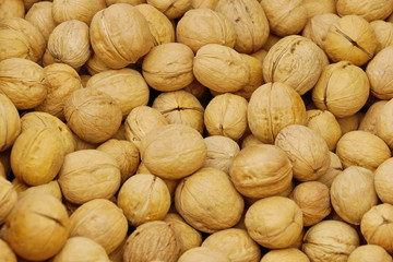 walnuts in a pile of shell