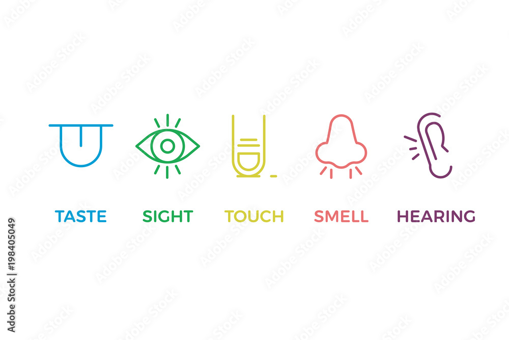 5 human senses illustrations. Taste, sight, touch, smell, hearing. Tongue, eye, finger, nose and ear. Vector trendy thin line icon pictogram designs in different colors - obrazy, fototapety, plakaty 