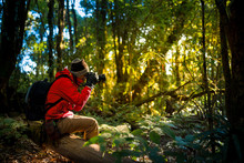 Professional Photographer Takes Photos With Camera In The Forest
