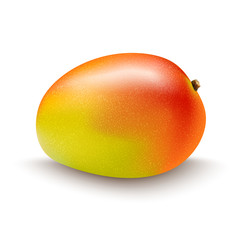 Sticker - mango fruit isolated on white background