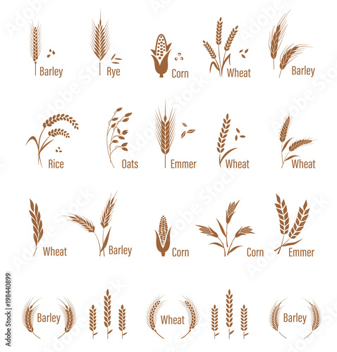 Cuadros en Lienzo Agricultural symbols isolated on white background.
