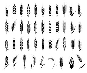 Ears of wheat bread symbols.