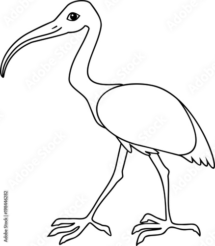 Coloring page. Cartoon African sacred ibis - Buy this stock vector and