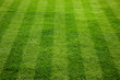 Green grass cuttings on the football field.