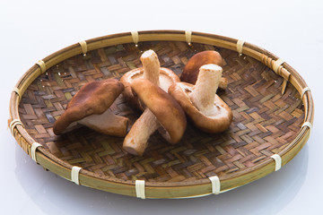 Poster - Natural, organic and healthy ingredients, shiitake mushrooms, fresh raw shiitake mushrooms in bamboo weaving containers