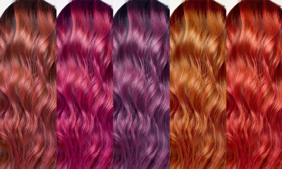 Wall Mural - Hair Collection, shades, set of five colors. Curls hair
