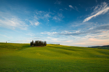 Tuscany spring landscape