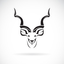 Vector Of Greater Kudu Head Design On White Background, Wild Animals. Easy Editable Layered Vector Illustration.