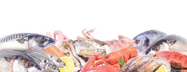 Seafood on a white background