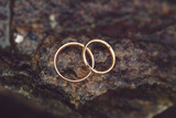 Fototapeta Konie - Golden Rings on Wet Stone