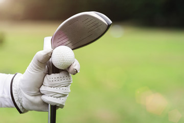 Wall Mural - Golf background concept. Closeup golf ball and golf club on hand with glove with blurred green grass on background. Picture for add text message. Backdrop for design art work.