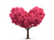 © andreusK - pink tree in heart shape