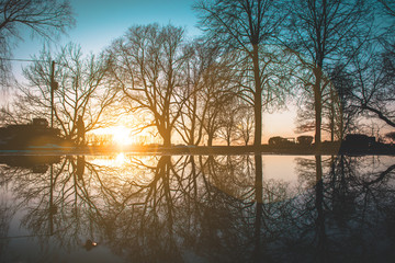  Water reflection of leafless trees and sunset