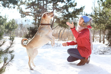 Woman playing with cute dog outdoors on winter day. Friendship between pet and owner