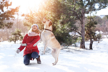 Woman playing with cute dog outdoors on winter day. Friendship between pet and owner