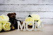 word text mom with space background mother's day concept