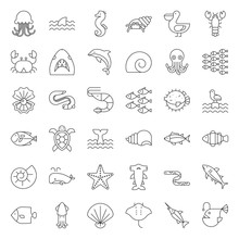 Aquatic Ocean Life Such As Octopus, Shell, Pelican,herd Of Fish, Outline Icon Set