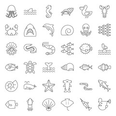Naklejka na meble Aquatic Ocean life such as octopus, shell, pelican,herd of fish, outline icon set