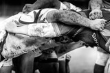 Mêlée de rugby à XV en noir et blanc