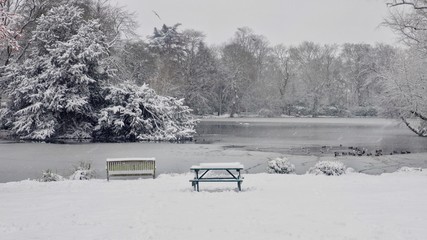 Wall Mural - Park in Winter