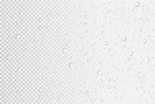 Vector Water Drops On Glass. Rain Drops On Transparent Background