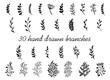 Hand drawn branches with leaves isolated on white background. Decorative floral elements for your design. Vintage vector