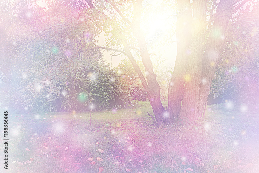Photographie Spirit Orbs gathered around tree emitting golden white light - tree with etherea