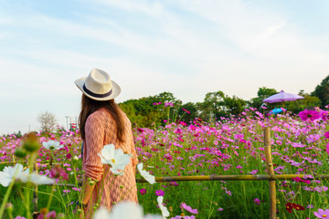 back view of young beautiful asian female wear hat in cosmos field when sunset or twilight in the evening. Romantic moment when sunset .