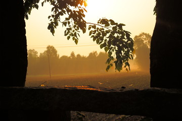 golden sunrise on a village