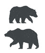 Two Bears Silhouettes