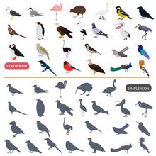 Color Flat And Simple Birds Icons Set