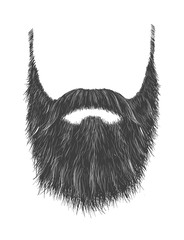 Long Gray Beard