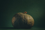 Fototapeta Natura - Close-up of a pumpkin on a green background