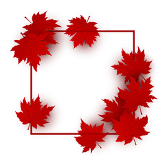 Wall Mural - Canada day background design of red maple leaves isolated on white background with line frame vector illustration