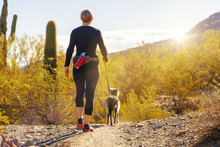 Woman Hiking With Dog In Phoenix Arizona