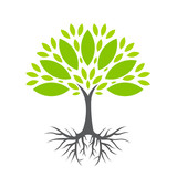 Fototapeta  - Ekologiczne drzewo ilustracja wektorowa