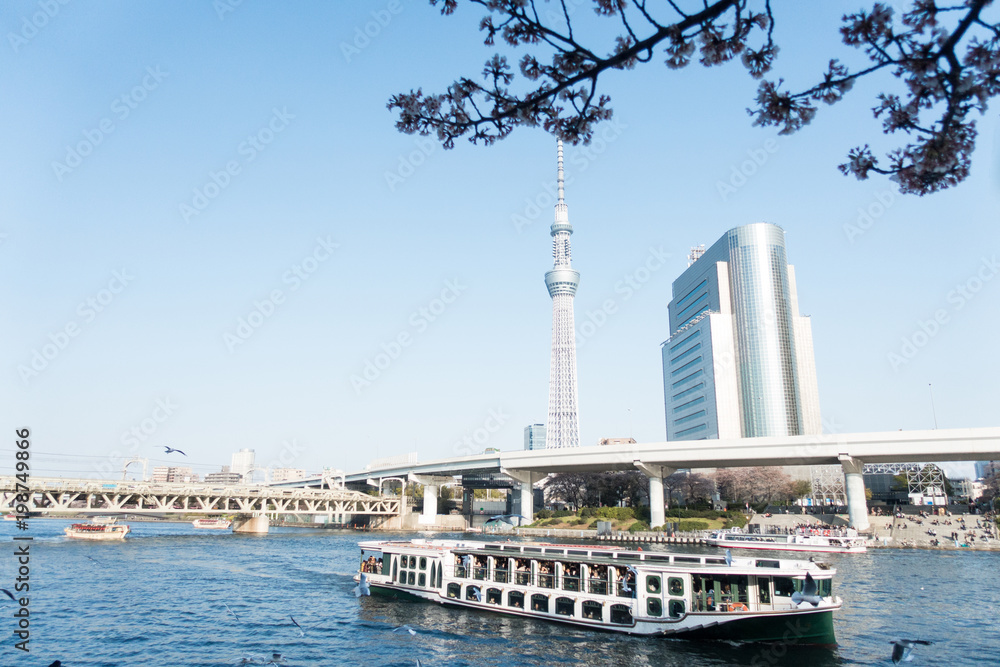 Scenery of Sumidagawa River on sunny spring day with Tokyo Skytree ...
