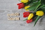Fototapeta Tulipany - Kwiaty na Dzień Matki
