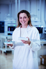 Wall Mural - young woman scientist working with samples in microplates in a laboratory