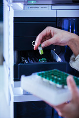 Wall Mural - scientist working with vials analysis in the laboratory