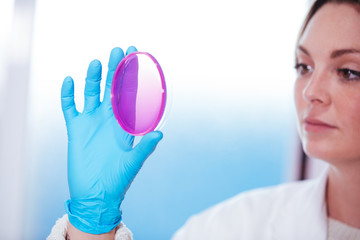Wall Mural - woman scientist observation about petri dish in laboratory